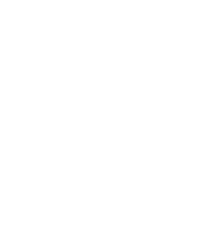 Blackwolf Privacy Policy